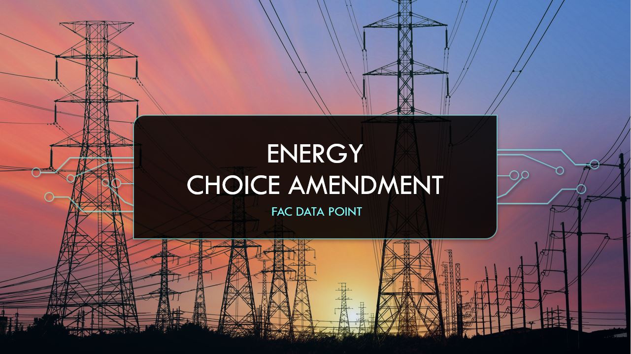 Energy Choice Amendment